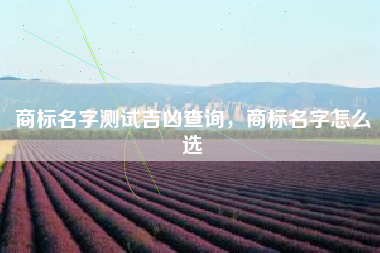 商标名字测试吉凶查询，商标名字怎么选