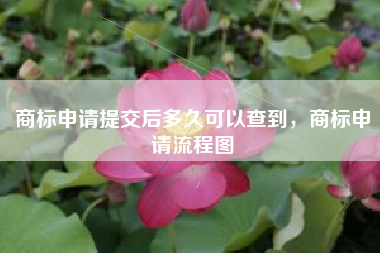 商标申请提交后多久可以查到，商标申请流程图