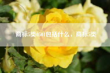 商标5类0501包括什么，商标5类