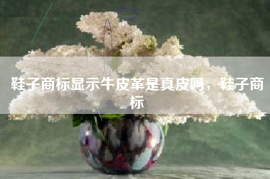 鞋子商标显示牛皮革是真皮吗，鞋子商标