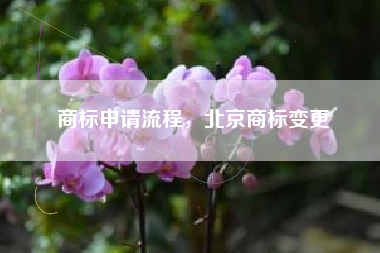 商标申请流程,北京商标变更 商标申请流程,北京商标变更
