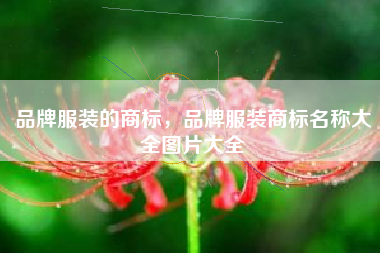 品牌服装的商标，品牌服装商标名称大全图片大全