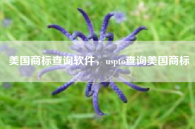 美国商标查询软件，uspto查询美国商标