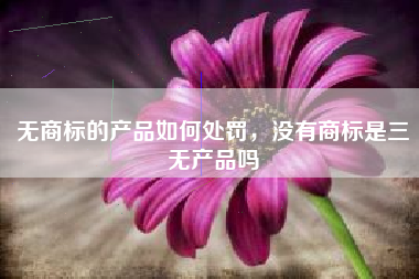 无商标的产品如何处罚，没有商标是三无产品吗
