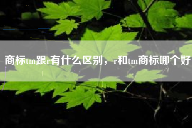 商标tm跟r有什么区别，r和tm商标哪个好