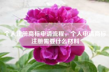 个人注册商标申请流程，个人申请商标注册需要什么材料