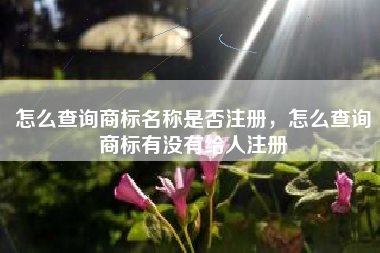 怎么查询商标名称是否注册，怎么查询商标有没有给人注册