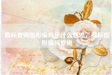 商标查询图形编码是什么意思，商标图形编码查询