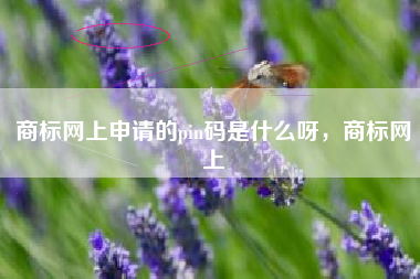 商标网上申请的pin码是什么呀,商标网上 商标网上申请的pin码是什么呀,商标网上