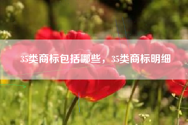 35类商标包括哪些,35类商标明细 35类商标包括哪些,35类商标明细