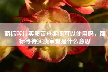 商标等待实质审查期间可以使用吗，商标等待实质审查是什么意思