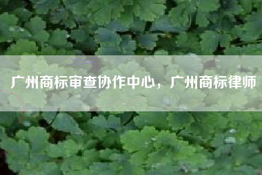 广州商标审查协作中心，广州商标律师