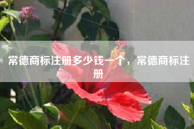 常德商标注册多少钱一个，常德商标注册