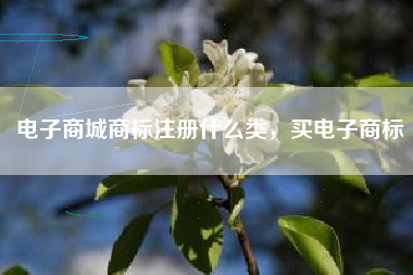电子商城商标注册什么类，买电子商标