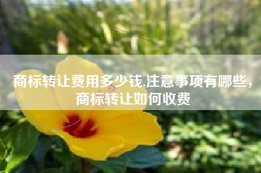 商标转让费用多少钱,注意事项有哪些，商标转让如何收费