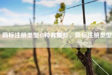 商标注册类型45种有哪些，商标注册类型