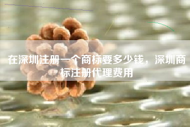 在深圳注册一个商标要多少钱，深圳商标注册代理费用