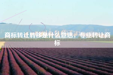 商标转让转移是什么意思，专业转让商标