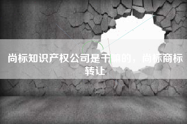 尚标知识产权公司是干嘛的，尚标商标转让