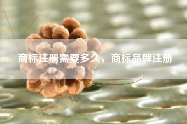 商标注册需要多久，商标品牌注册