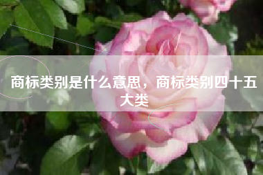 商标类别是什么意思，商标类别四十五大类