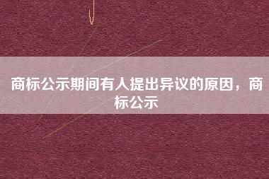 商标公示期间有人提出异议的原因，商标公示