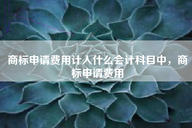商标申请费用计入什么会计科目中，商标申请费用