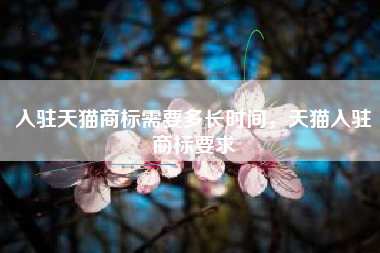 入驻天猫商标需要多长时间，天猫入驻商标要求