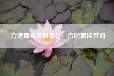 合肥商标注册平台，合肥商标查询