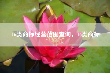 16类商标经营范围查询，16类商标