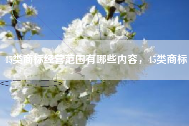 45类商标经营范围有哪些内容，45类商标
