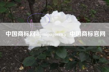 中国商标网sbjcnipagovcn，中国商标官网