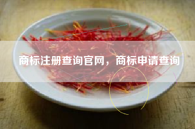 商标注册查询官网，商标申请查询