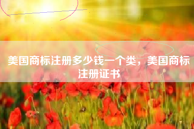 美国商标注册多少钱一个类，美国商标注册证书