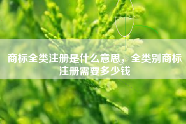 商标全类注册是什么意思,全类别商标注册需要多少钱 商标全类注册是什么意思,全类别商标注册需要多少钱