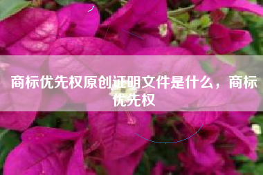 商标优先权原创证明文件是什么,商标优先权 商标优先权原创证明文件是什么,商标优先权