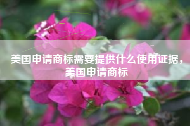 美国申请商标需要提供什么使用证据,美国申请商标 美国申请商标需要提供什么使用证据,美国申请商标