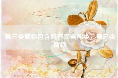 第三类商标包含的有哪些种类,第三类商标 第三类商标包含的有哪些种类,第三类商标