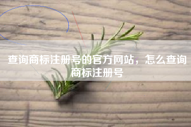查询商标注册号的官方网站，怎么查询商标注册号