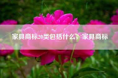 家具商标20类包括什么，家具商标