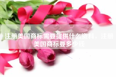 注册美国商标需要提供什么资料，注册美国商标要多少钱