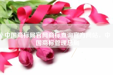 中国商标局官网商标查询官方网站，中国商标管理总局