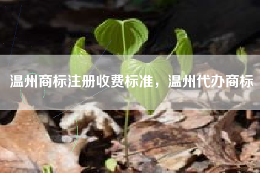 温州商标注册收费标准，温州代办商标