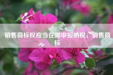 销售商标权应当在哪申报纳税，销售商标