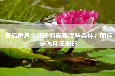 商标是怎么注册的需要哪些条件，商标是怎样注册的