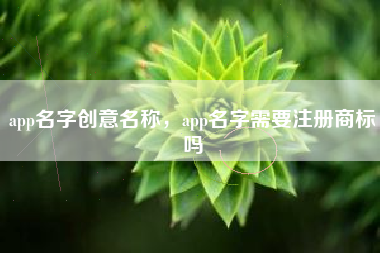 app名字创意名称，app名字需要注册商标吗