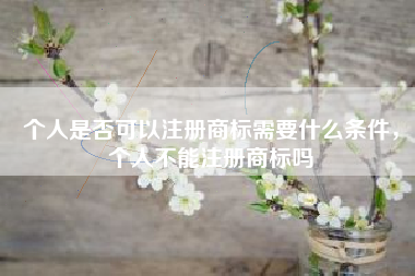 个人是否可以注册商标需要什么条件，个人不能注册商标吗