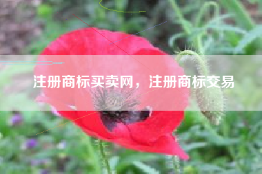 注册商标买卖网，注册商标交易