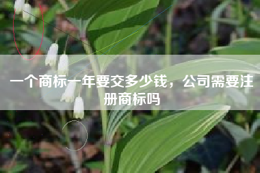 一个商标一年要交多少钱，公司需要注册商标吗