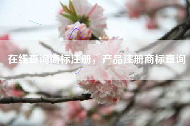 在线查询商标注册，产品注册商标查询